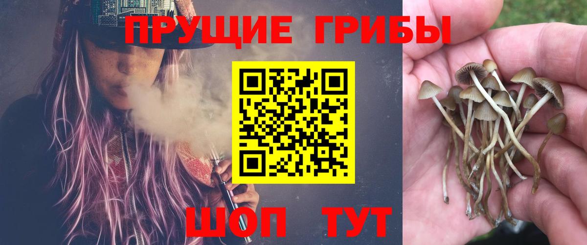 Псилоцибиновые грибы Magic Shrooms Нефтекумск